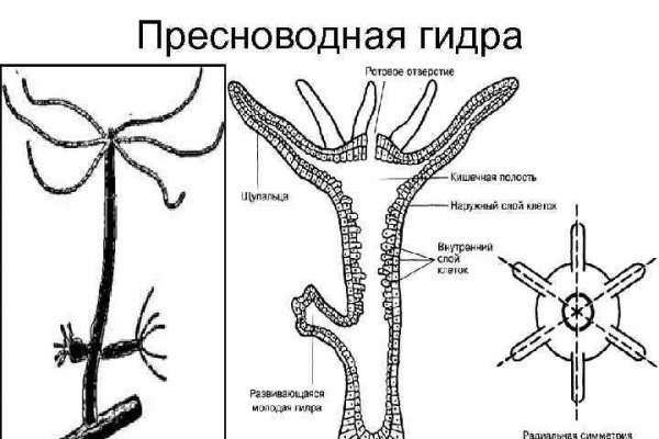 Омг магазин моментальных