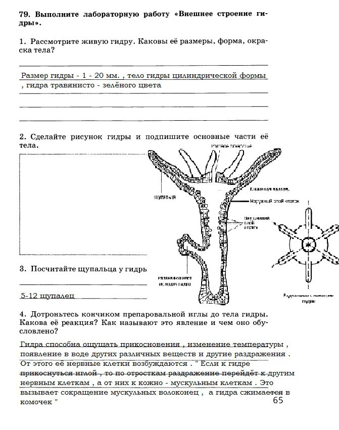 Маркетплейс кракен kraken