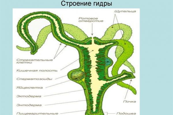 Кракен зайти зеркало