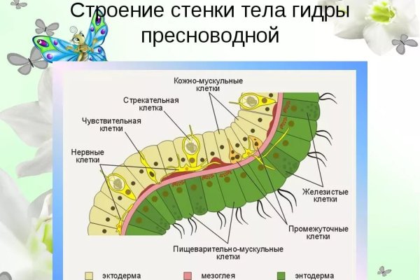 Кракен ворует аккаунты